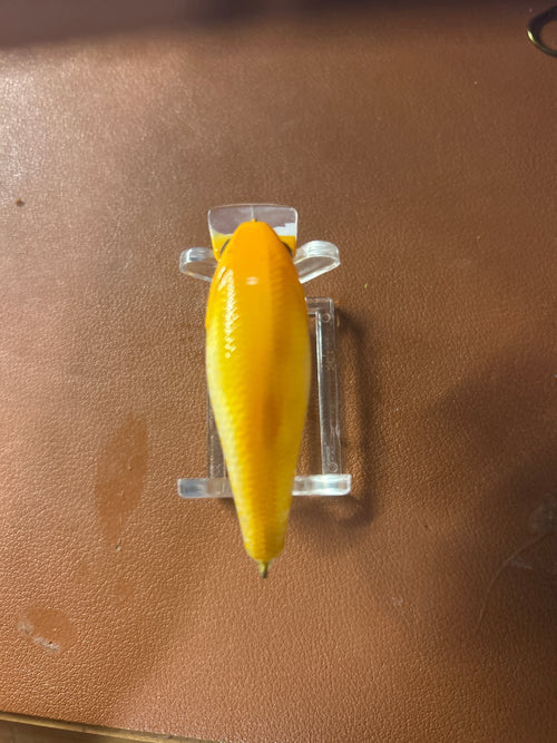 Crank bait-goldfish